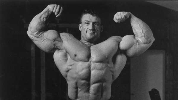 The 1993 Mr. Olympia